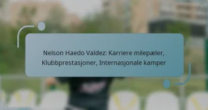 Nelson Haedo Valdez: Karriere milepæler, Klubbprestasjoner, Internasjonale kamper