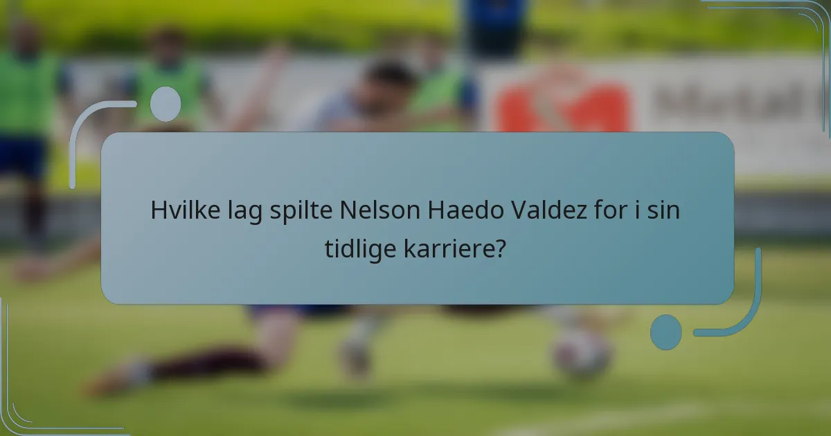 Hvilke lag spilte Nelson Haedo Valdez for i sin tidlige karriere?