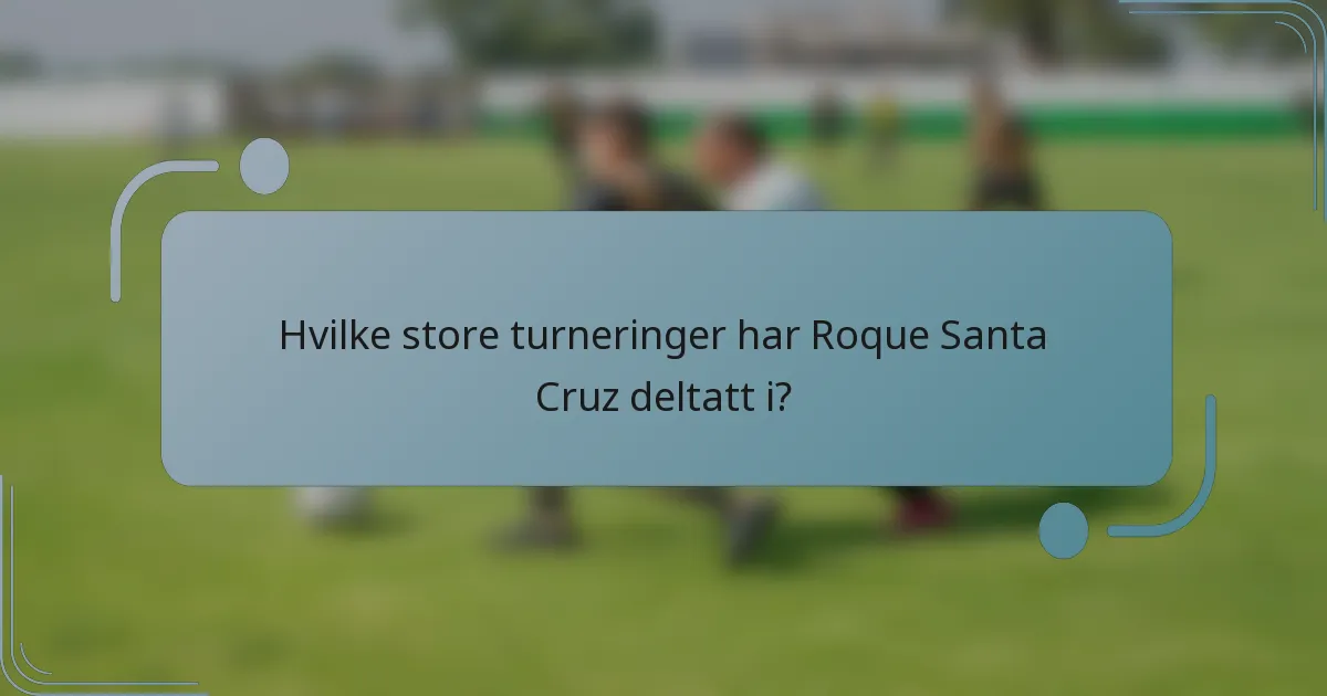 Hvilke store turneringer har Roque Santa Cruz deltatt i?